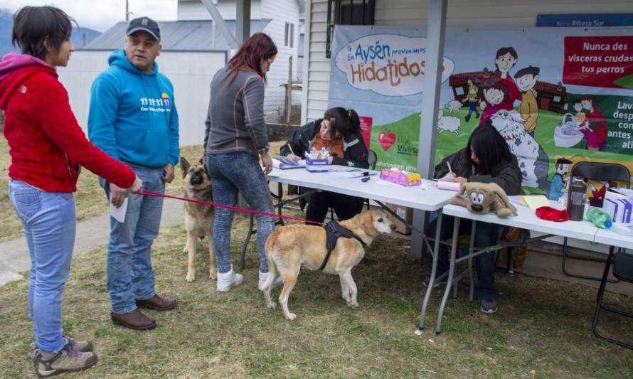 Realizaron jornada de vacunación y desparasitación canina en Puerto Aysén
