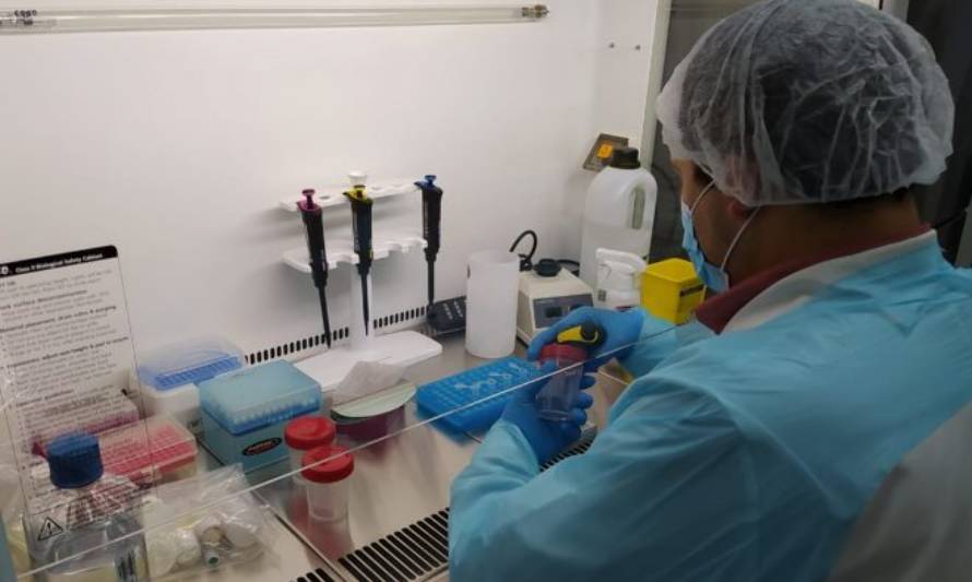Hospital de Coyhaique fue autorizado para análisis de PCR