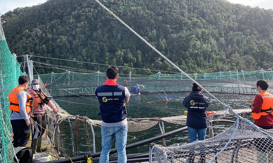 Mortandad de salmones: a 10 se elevan centros afectados en fiordo Comau 