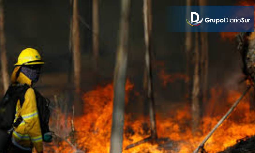 Región de Aysén en alerta preventiva por amenaza de incendio forestal