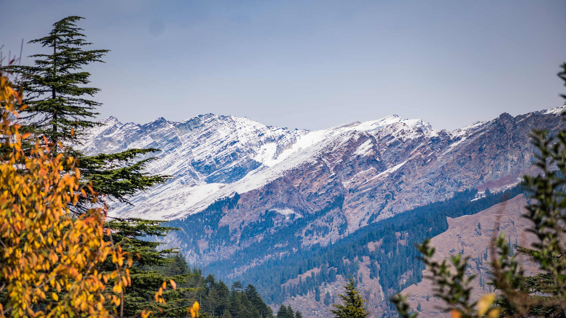 Elevando la Energía: Los Beneficios Espirituales del Cuarzo del Himalaya