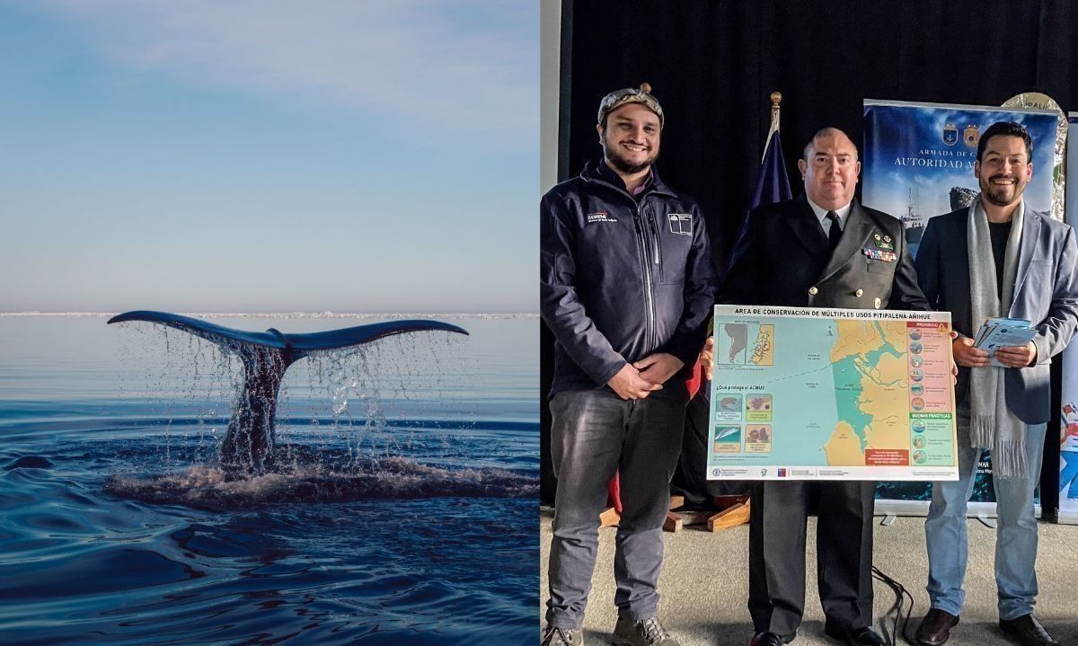 Puerto Aysén celebró a los océanos con seminario “Navegando hacia un futuro resiliente”