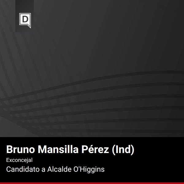 Bruno Mansilla Pérez 