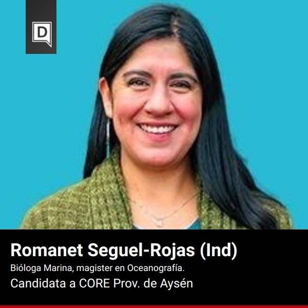 Romanet Seguel-Rojas